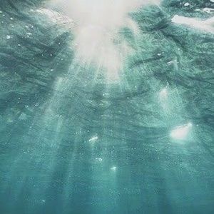 Meet your Posher, Miss